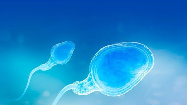 40岁卵巢衰退还可以找个代生孩子吗？40岁医院借卵试管代怀地址的成功率