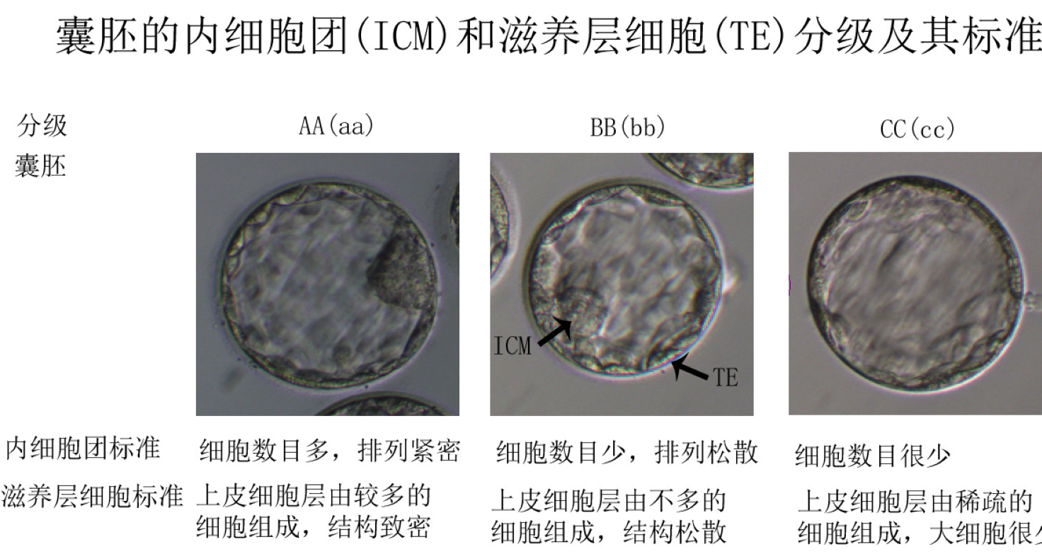 360截图161711069792102.png