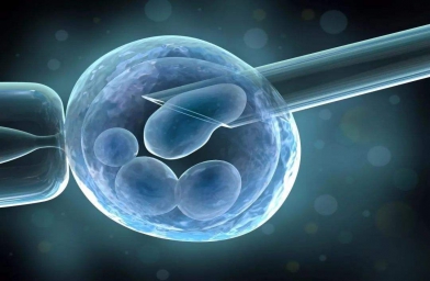 四川格鲁吉亚ReproArt诊所专家解释取卵对卵巢的伤害大吗？