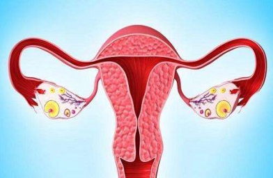 四川格鲁吉亚ReproArt诊所专家解释取卵后卵巢该如何保养？